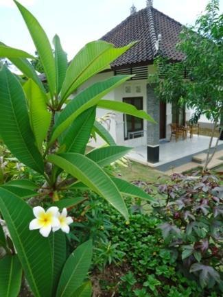 Bingin Family Bungalow Uluwatu Zewnętrze zdjęcie